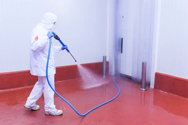 Best Soft Washing  in Burlington, ND